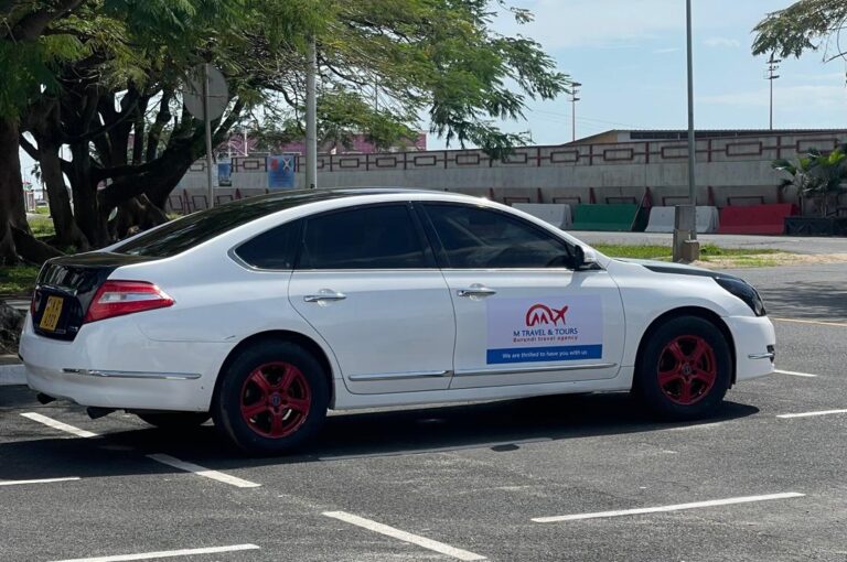 M travel and Tours Cars