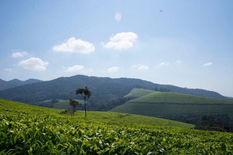 5-Day Burundi Tour Itinerary