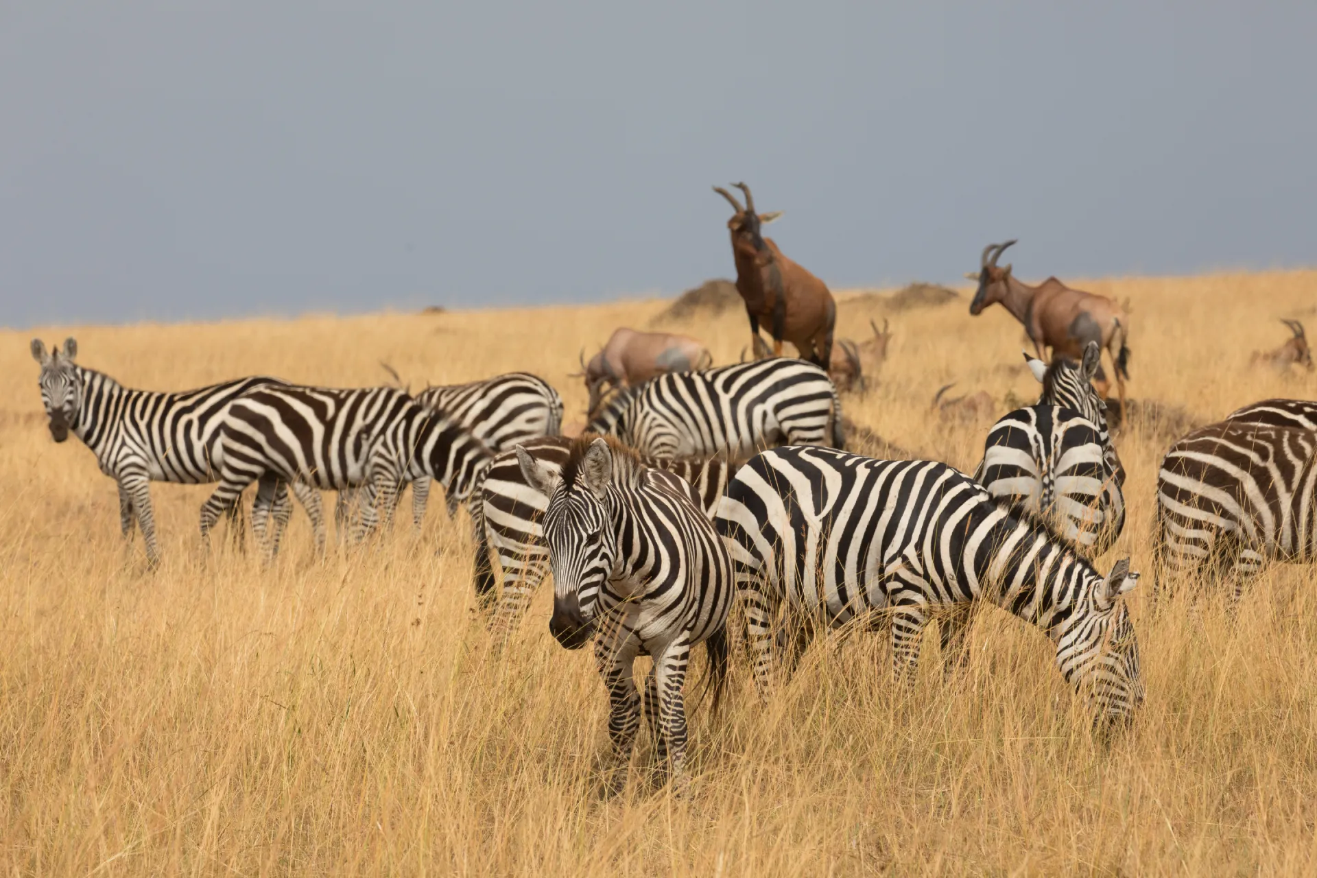 Burundi Safari Tours