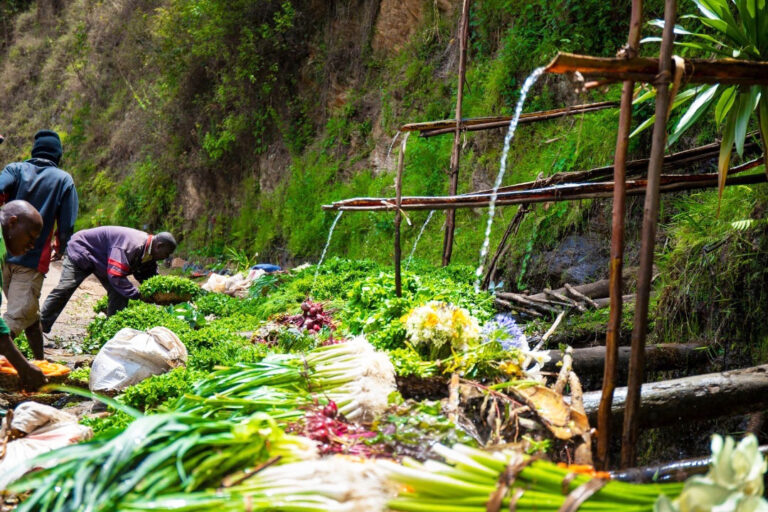 The Waters of the King