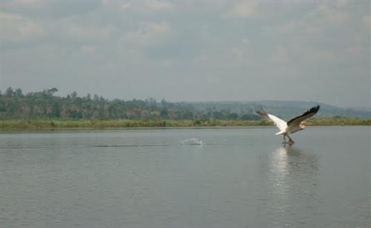 Lake Rwihinda