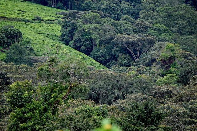 Muramvya Attractions