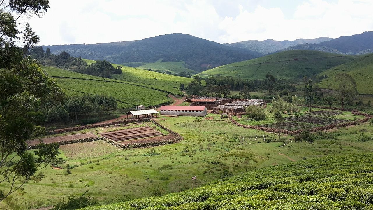 Muramvya Tour Packages