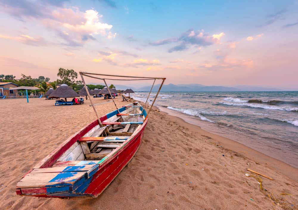 One Day Burundi Safari Escape