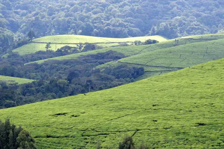 Why Visit Burundi Now?