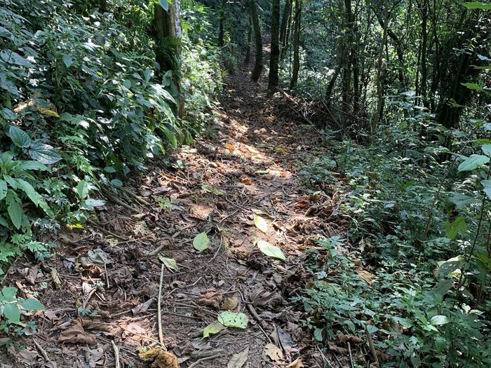 Top Hiking Trails in Burundi