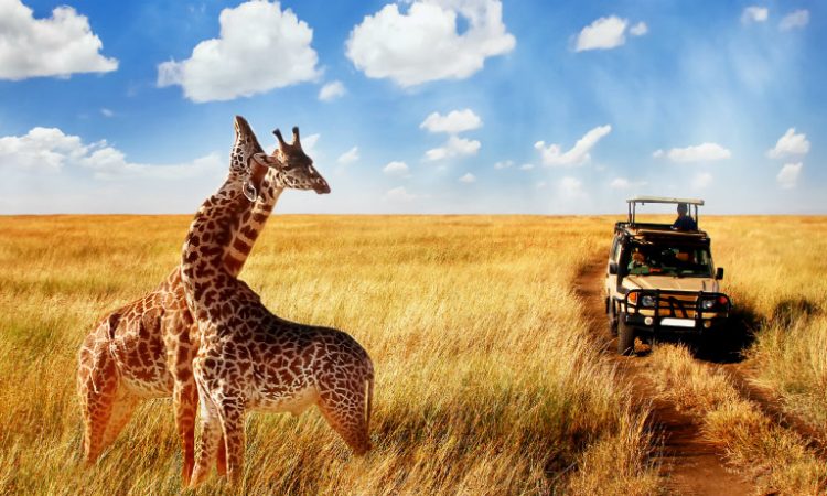 Explore East Africa with Us