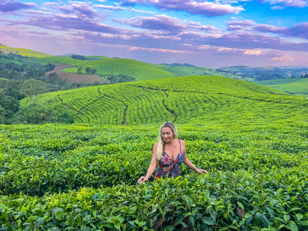 Africa Travel