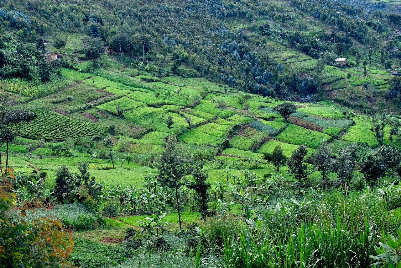 Explore Burundi