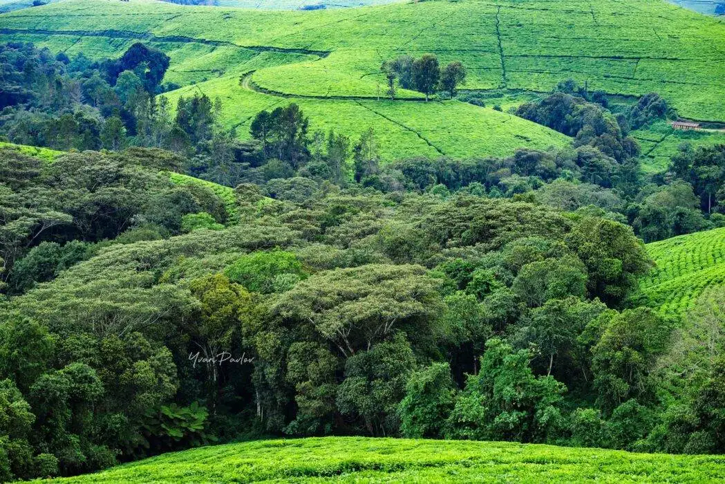 One Day Tour to Burundi
