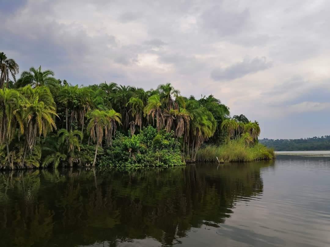 One Day Tour to Kirundo