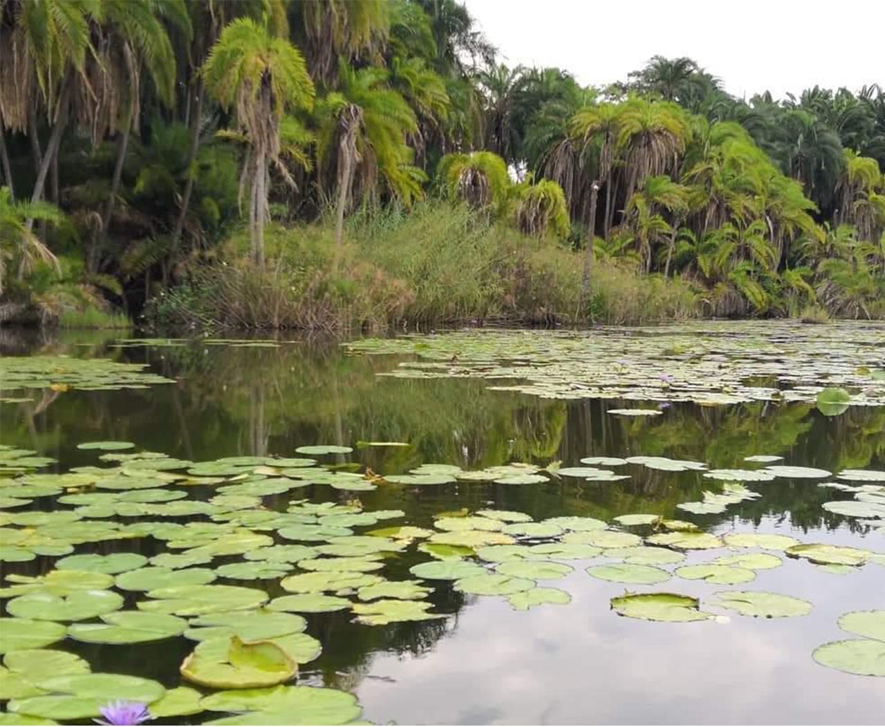Your Guide to Burundi