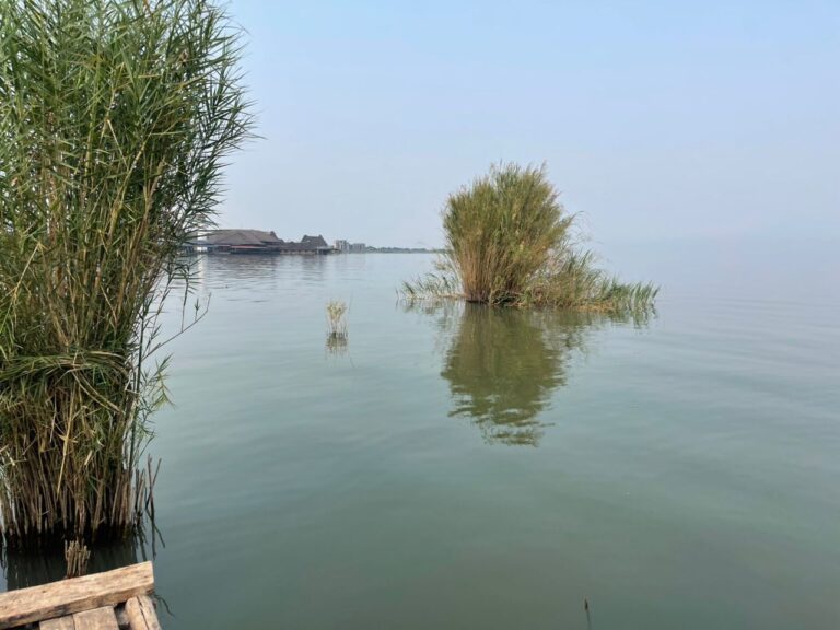 The 10 Best Things to Do in Burundi