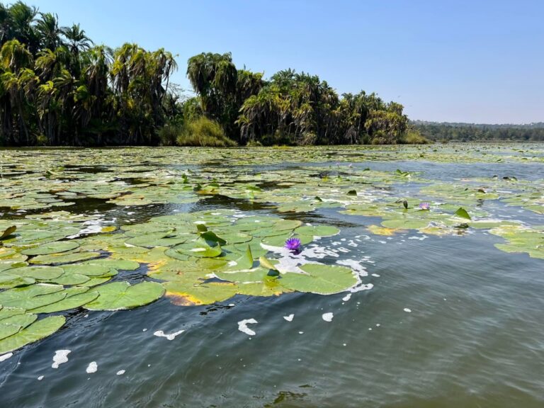 Burundi Private Tour