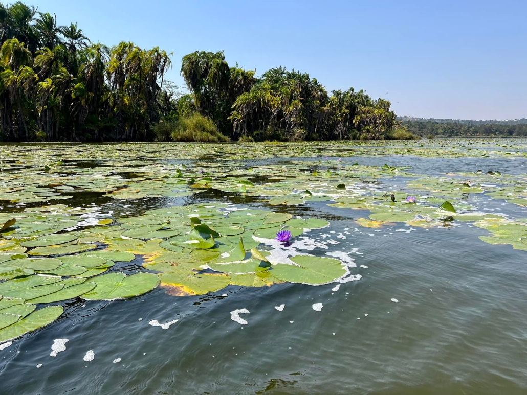 Burundi Private Tour