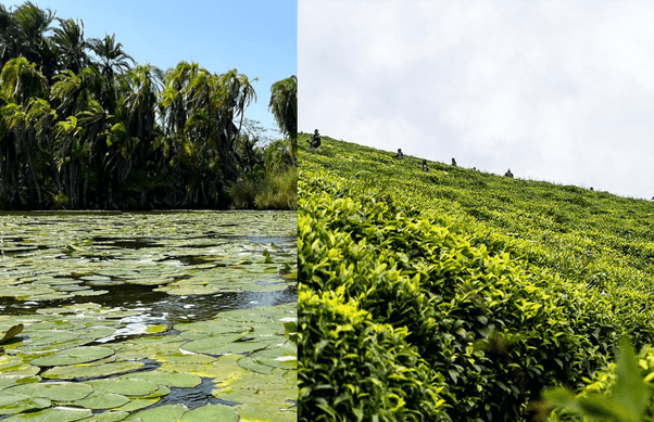 Burundi Nature Tour