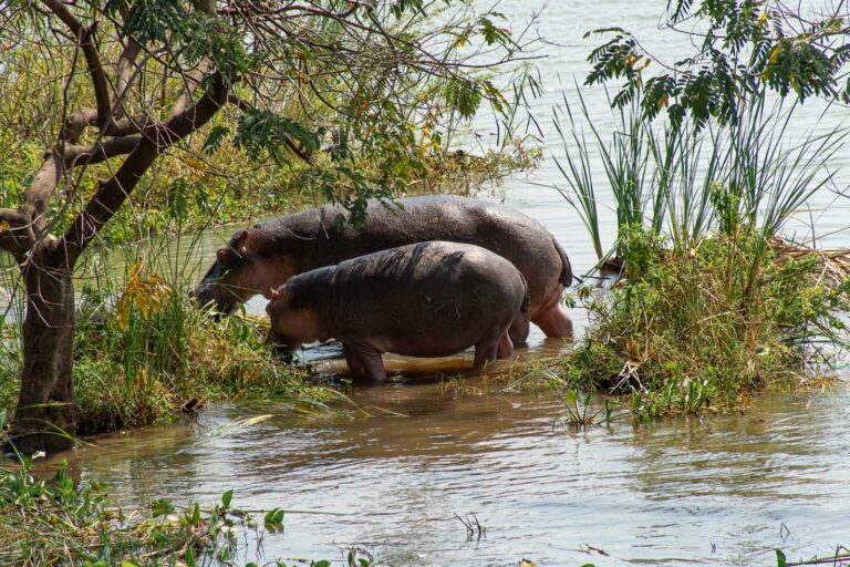 A Full Day Private Guided Tour