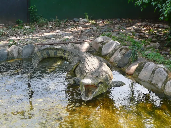 Top 5 Burundi Tours You Can Book Today