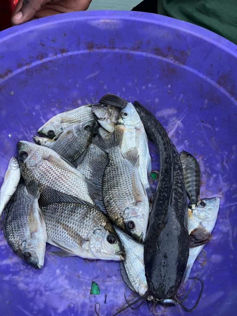 The Night Fishermen of Lake Tanganyika