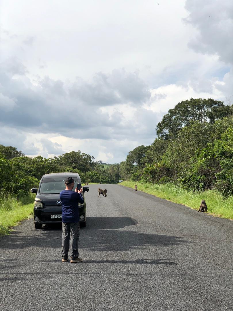 Top 10 Burundi Tours & Day Trips