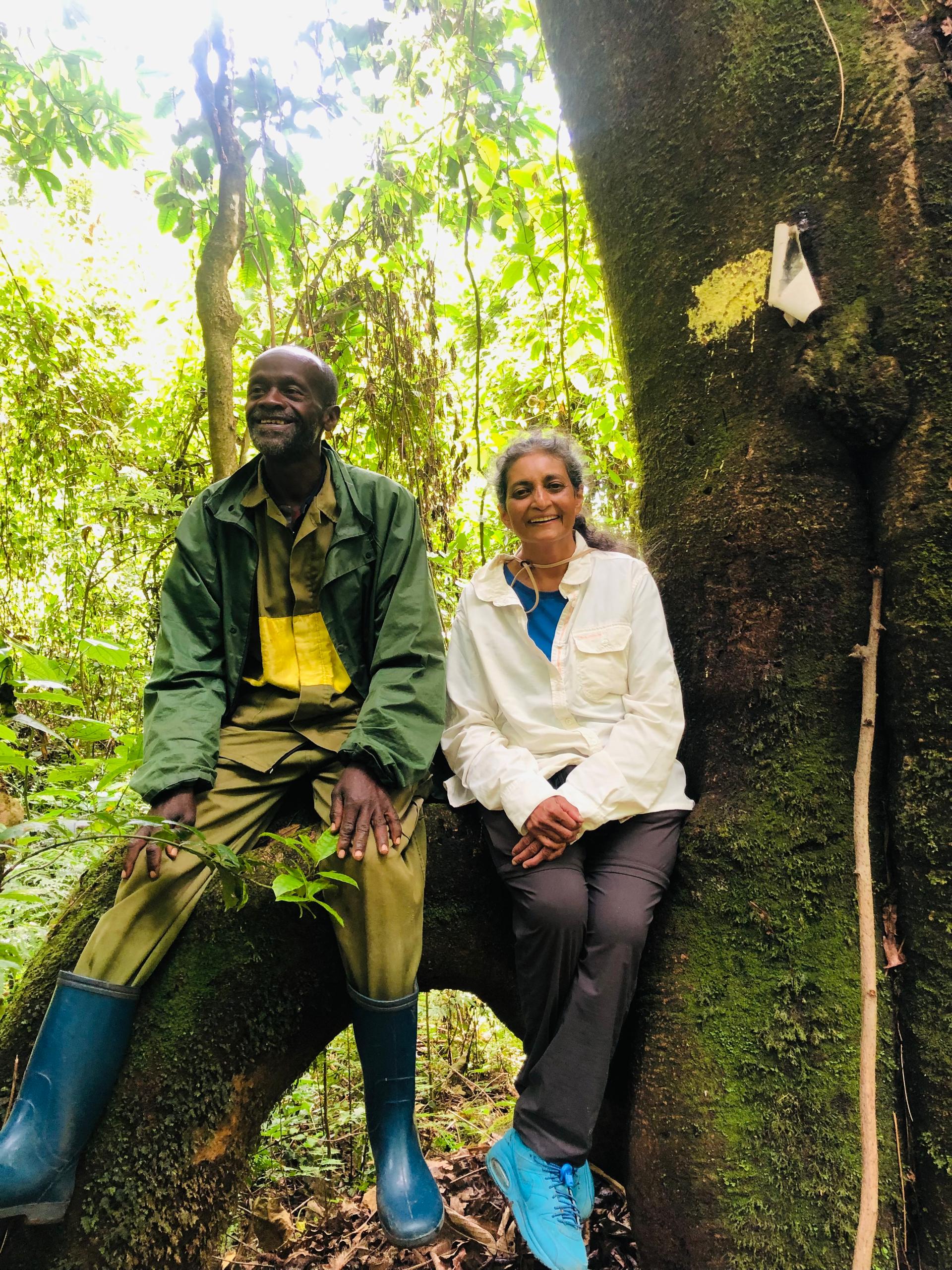 Best Burundi Tour Package