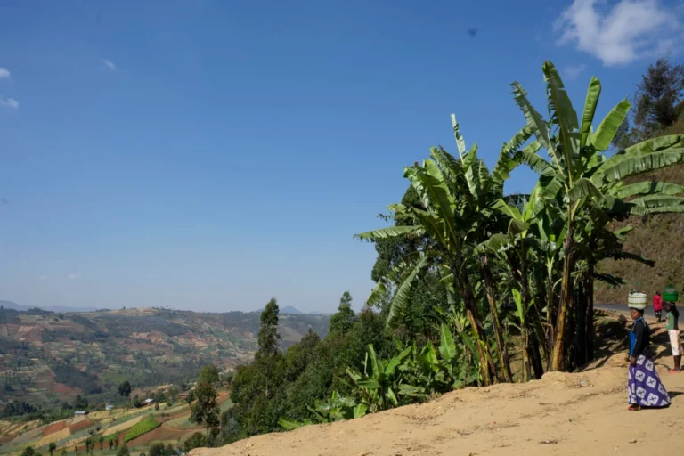 Burundi Tours Beyond the Guidebooks