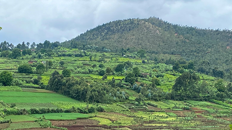 Burundi Safe for Tourists in 2026?