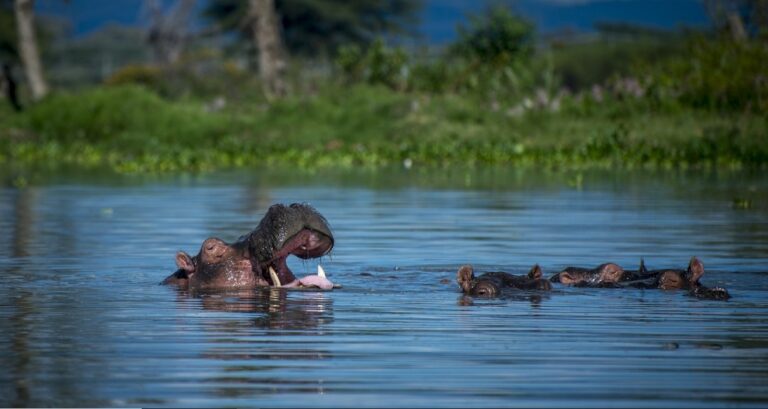 Hidden Places to Visit in Burundi