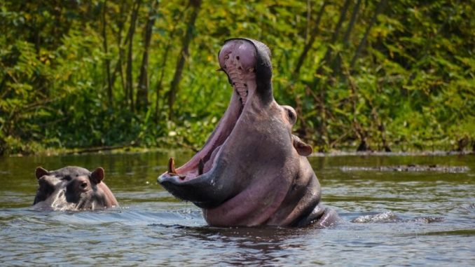 Bujumbura City & Lake Tanganyika Day Tour