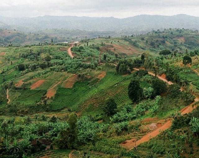 Buhumuza Province hills