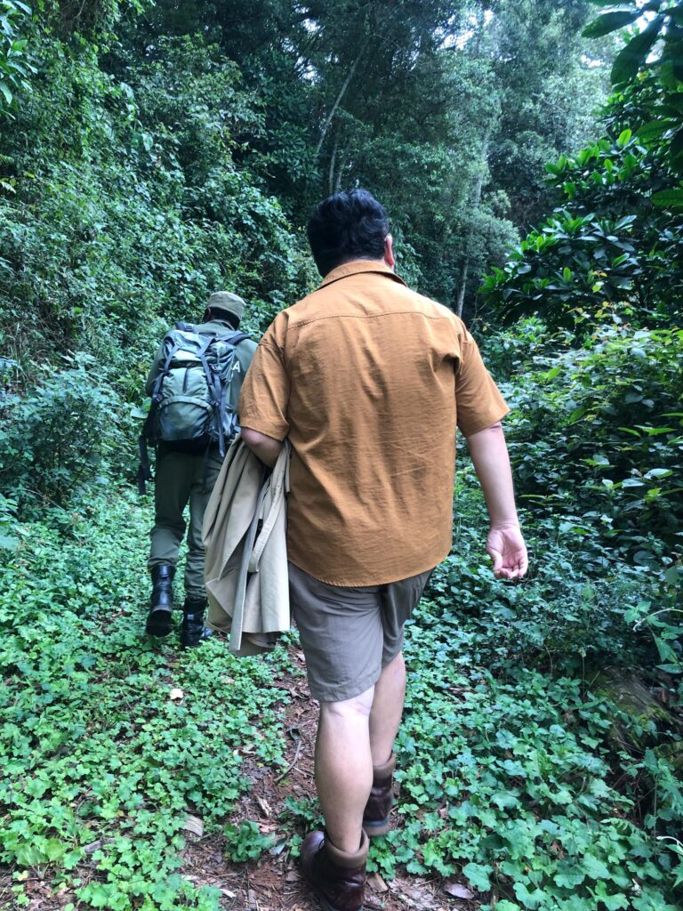 Kibira National Park in Burundi