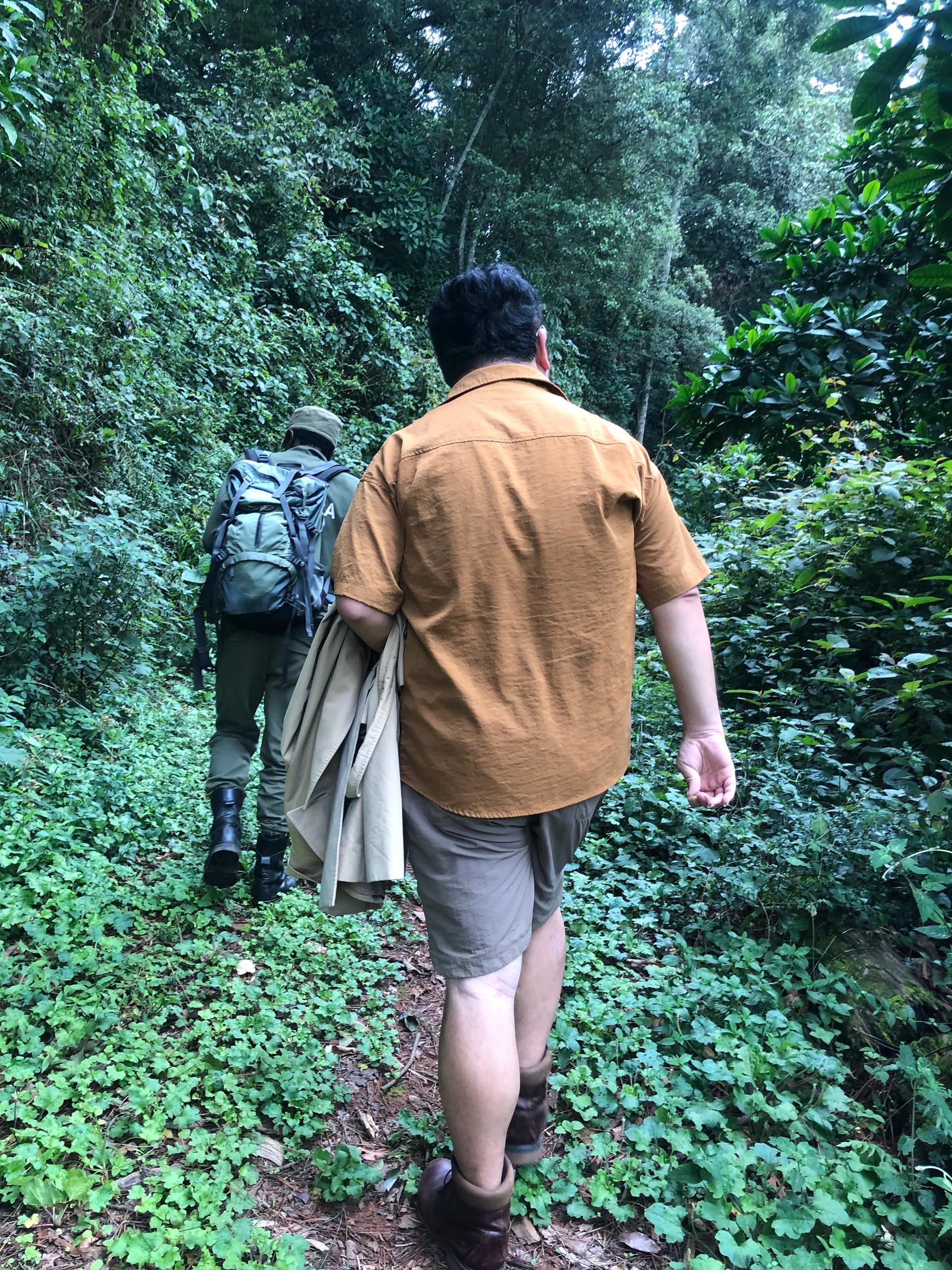 Kibira National Park attraction in Burundi